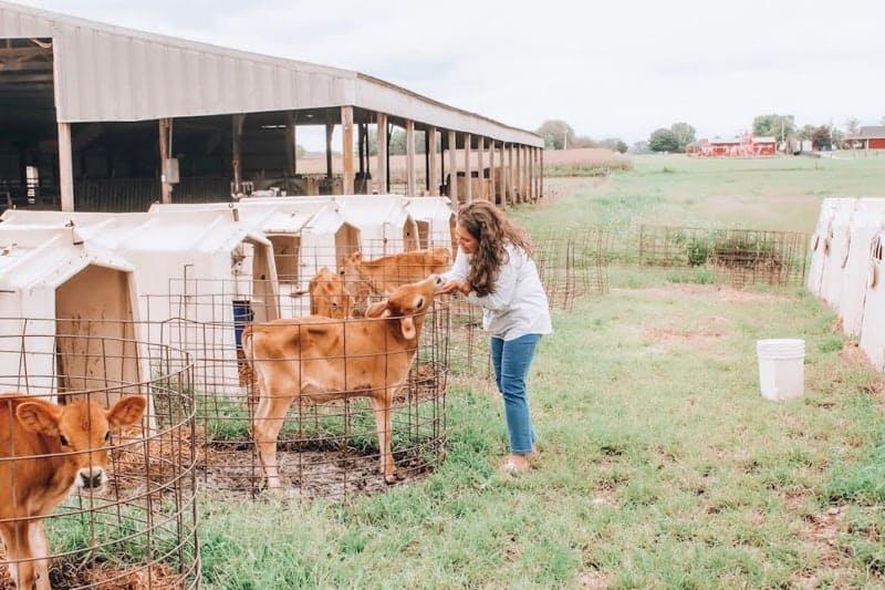 Alex in the countryside with a cow