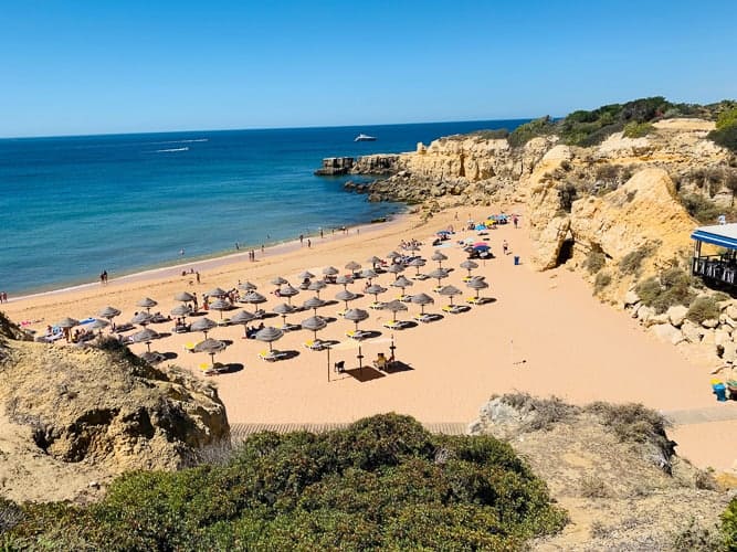 A pristine beach with palm umbrellas in Portugal