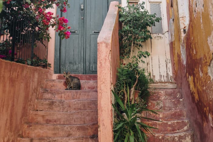 Two doorwards in a Greece village