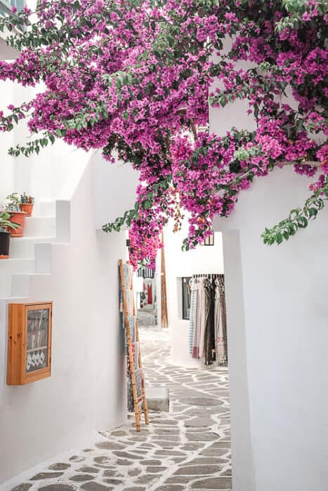 Alleyway in a Greek Village