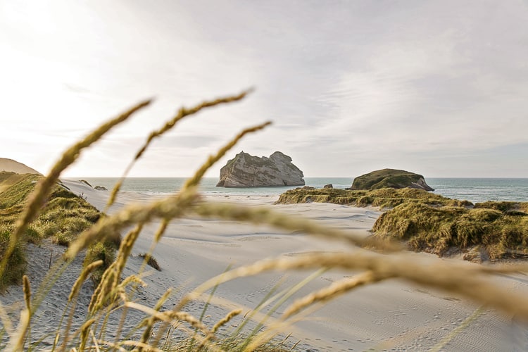 Beach in New Zealand