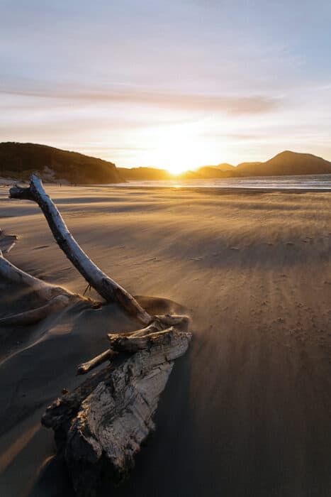 Beautiful beach scene in New Zealand