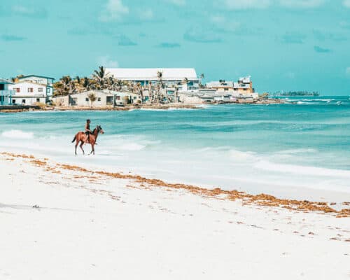 A person on a horse on the beautiful white sands of Anguilla