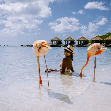 A lady with two flamingoes in the water in Aruba